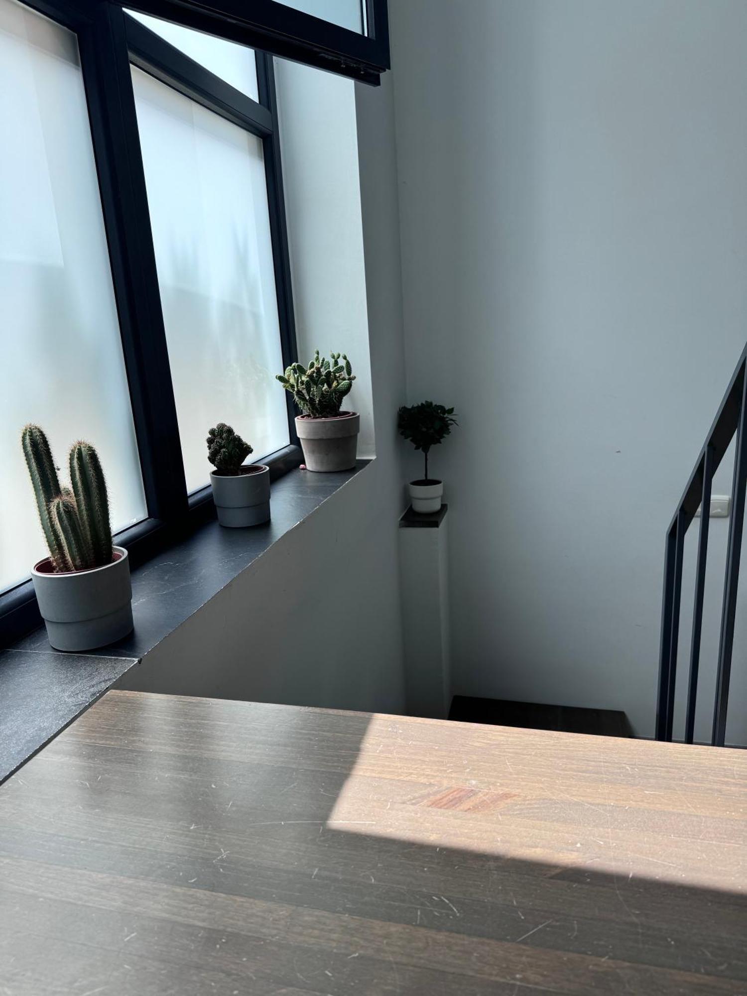 Sumaloft Prensa Apartman Málaga Kültér fotó